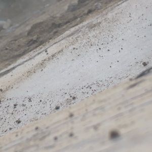 Meet your Posher, Isaac